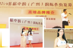 首屆中國（廣州）國際冬蟲夏草品鑒會【高端品牌推介會】